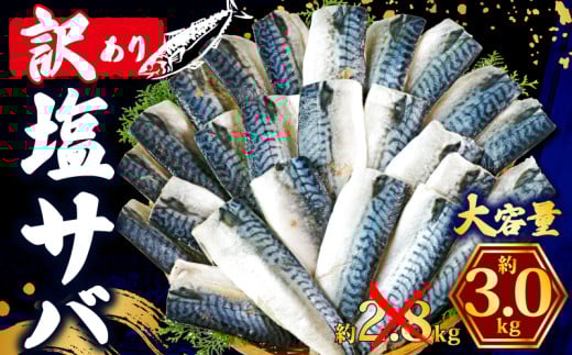 訳あり 塩さば フィレ 約3kg 期間限定 増量 中 数量限定 鯖 さば 塩サバ 塩鯖 訳アリ 訳有 規格外 不揃い 切身 切り身 フィーレ 塩焼き 鯖サンド 鯖バーガー 大容量 小分け 人気 冷凍 冷凍食品 魚 魚介 魚貝 魚介類 おかず つまみ 酒 お酒 さけ 弁当 惣菜 食品 冷凍食品 グルメ 贈答 贈物 贈り物 長期保存 ギフト ふるさと納税 ふるさと納税鯖 送料無料 千葉県 銚子市 辻野