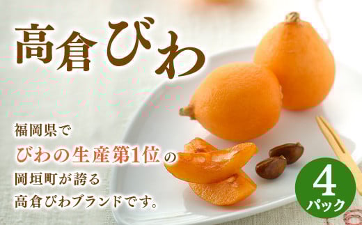 【先行予約】高倉びわ 4パック入り 5～7玉 くだもの 果物 フルーツ 岡垣町 【2026年5月上旬～6月上旬発送予定】