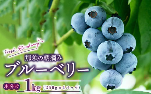 【先行予約】那須町生ブルーベリー1kg（250g×4パック） 限定100個〔P-345〕 ※2025年6月上旬～7月下旬頃に順次発送予定 ※北海道・沖縄・離島への配送不可