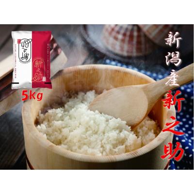 ふるさと納税 阿賀野市 【令和8年産新米先行受付】阿賀野市産「新之助」5kg(5kg×1袋) 安田興和農事