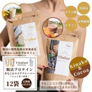 【定期便6ヶ月連続】Vitafast 乳酸菌プロテイン きなこ&ココア味 各1袋×6ヶ月  計12袋 シェイカー1個付き