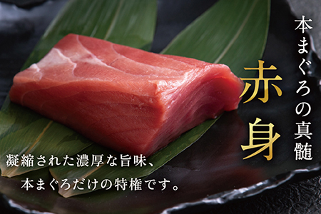 【冷蔵】絶品！生本マグロ　赤身 750g（柵どり）