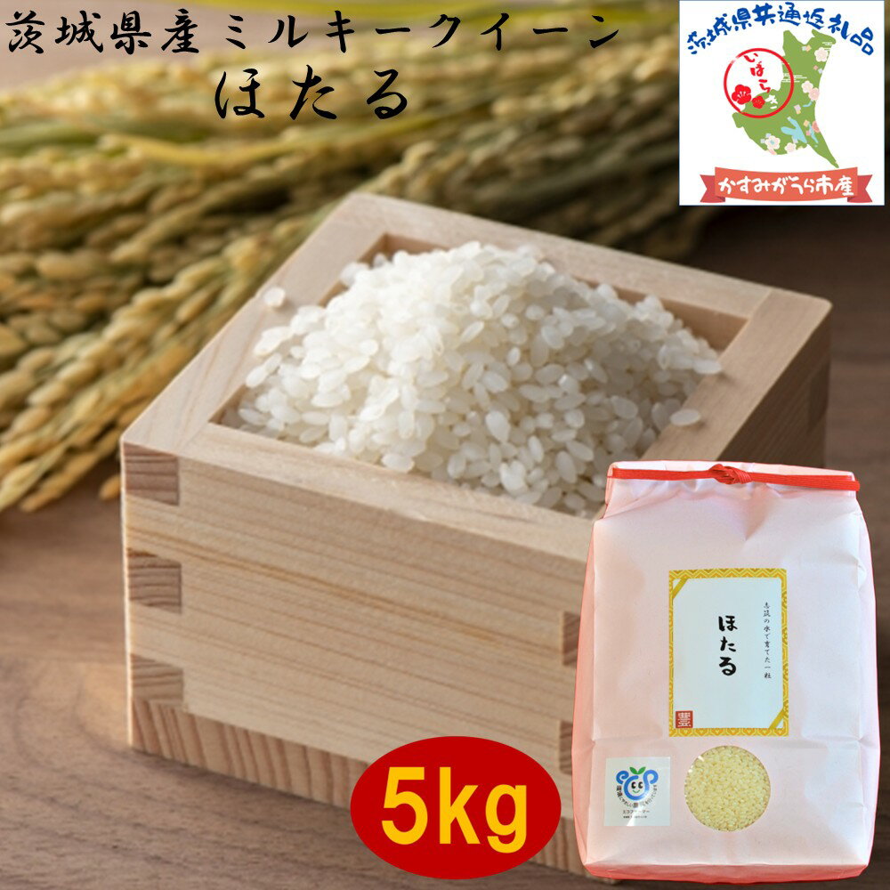 【ふるさと納税】 令和7年度産 ミルキークイーン ほたる 5kg 農家直送 出荷日精米 茨城県産 茨城県共通返礼品 かすみがうら市産 米 お米 白米 こめ 精米 取り寄せ 特産 ごはん ご飯 コメ お取り寄せ ギフト 贈り物 弁当 おにぎり ふっくら 甘い 農家直送 産地直送 国産