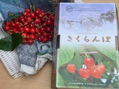 【定期便：全４回】果物たくさん『上山を楽しむ！ん～まい』定期便　0049-2514