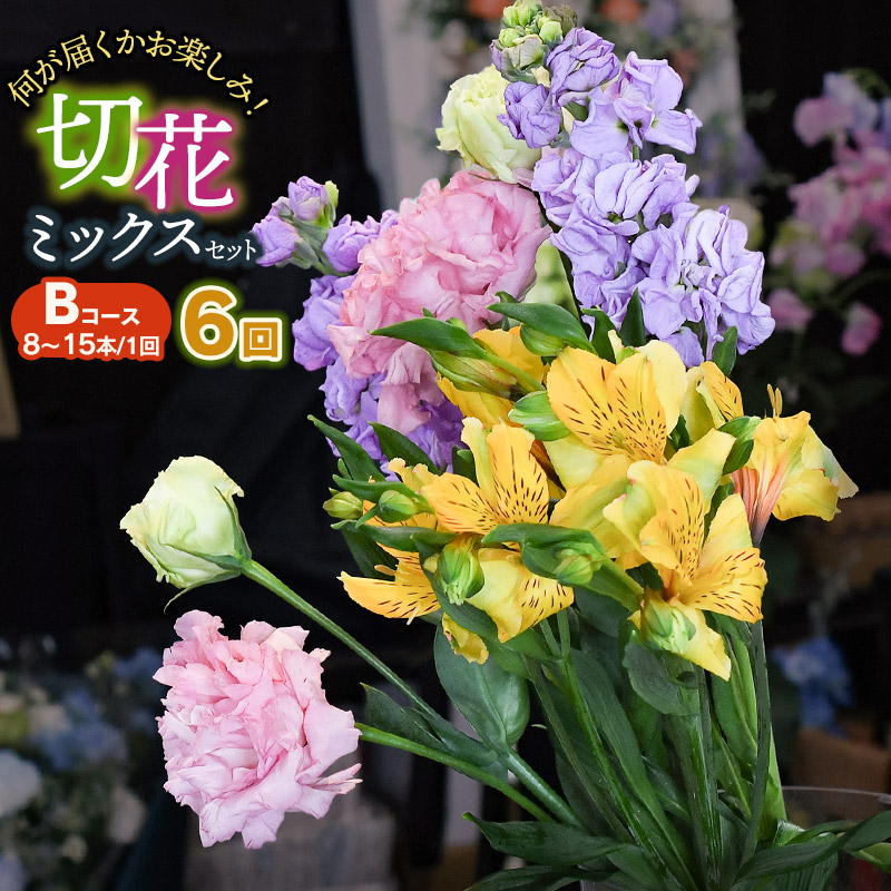 何が届くかお楽しみ★【6ヶ月定期便】鶴岡産切花ミックスセット Bコース6回　花蔵（HANAZO）　K-756
