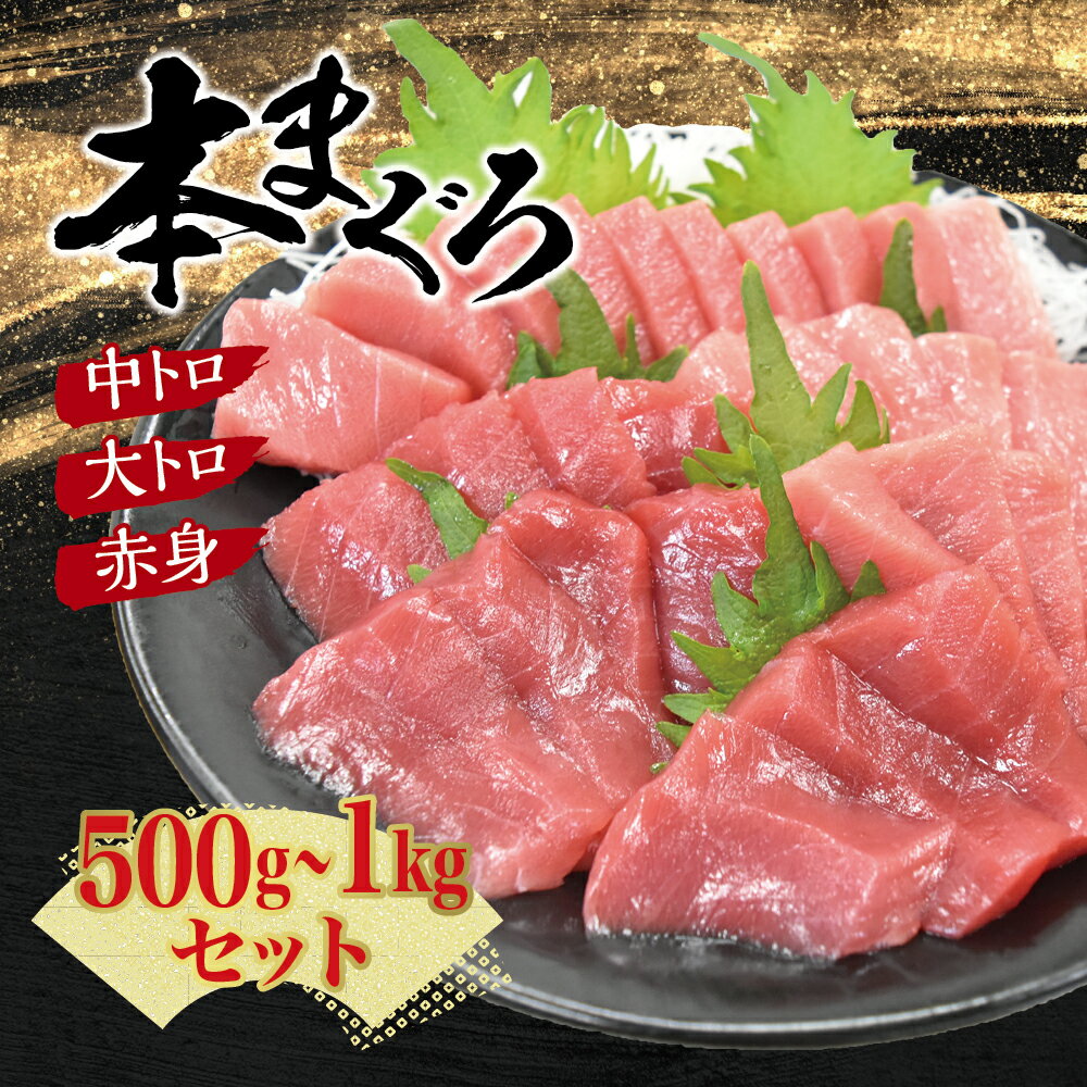 【28日決済分まで年内発送！】本マグロ（養殖）トロ＆赤身セット 500g or 1kg 中トロ 中とろ まぐろ 鮪 本マグロ マグロ 鮪 赤身 トロ 刺身 予約 冷凍 年内配送 海鮮 12月 年内発送 大トロ 柵 お正月 正月