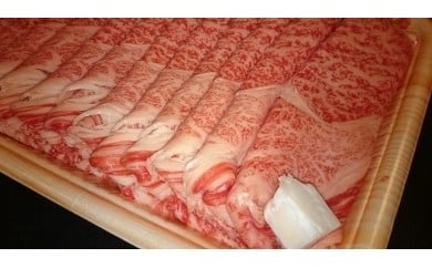 【ふるさと納税】 飛騨牛A5~4等級 すき焼き用(肩ロース・ロース) 500g B-1/A-4