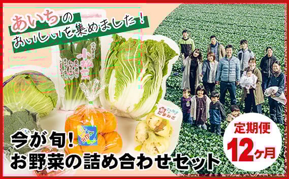 
            【12ヶ月定期便】今が旬！お野菜の詰め合わせセット ／旬野菜 定期便 詰め合わせ 野菜セット 新鮮 冷蔵 春 夏 秋 冬 8〜10種 おまかせ 食材 ボックス 家庭料理 野菜レシピ お取り寄せ 送料無料 愛知県 No.217
          