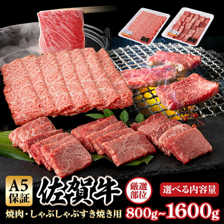 【ふるさと納税】 佐賀牛 A5 ランク保証！ 焼肉・しゃぶしゃぶすき焼き 厳選部位 合計800g〜1600g 選べる （各1P×400g）ブランド牛 黒毛和牛 九州 佐賀 送料無料 A5だけブランド牛すきやき スライス 薄切り 人気 ランキング 高評価 牛肉 【C210-005】桑原畜産