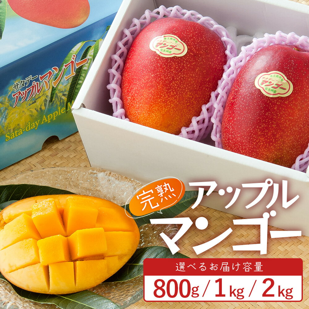 【ふるさと納税】≪先行予約・数量限定≫ ☆本土最南端☆佐多の果樹園で育てた 完熟アップルマンゴー 選べる内容量！（800g/1kg/2kg）【2026年7月上旬以降順次発送】 ｜マンゴー アップルマンゴー フルーツ 果物 くだもの 選べる 800g 1kg 2kg 産地直送 旬 鹿児島県 南大隅町