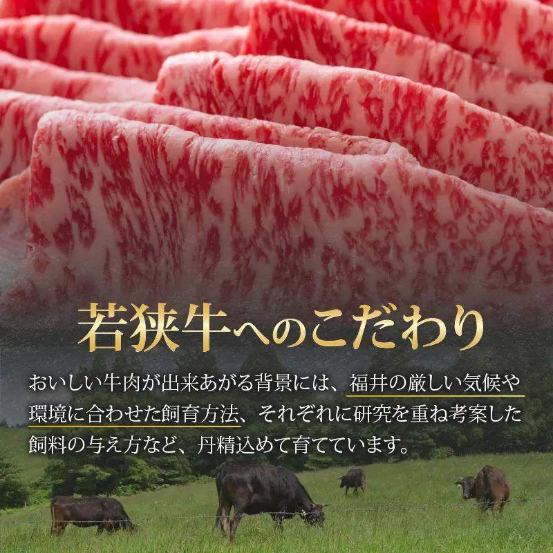 若狭牛 ロース・肩ロース すき焼き用 500g（250g×2） [C-058003]