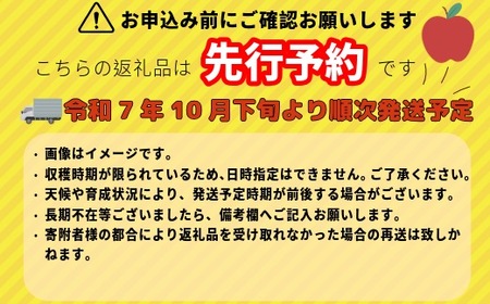 【先行予約】シナノゴールド【約5ｋｇ(12〜18玉)】(7-A25-2)