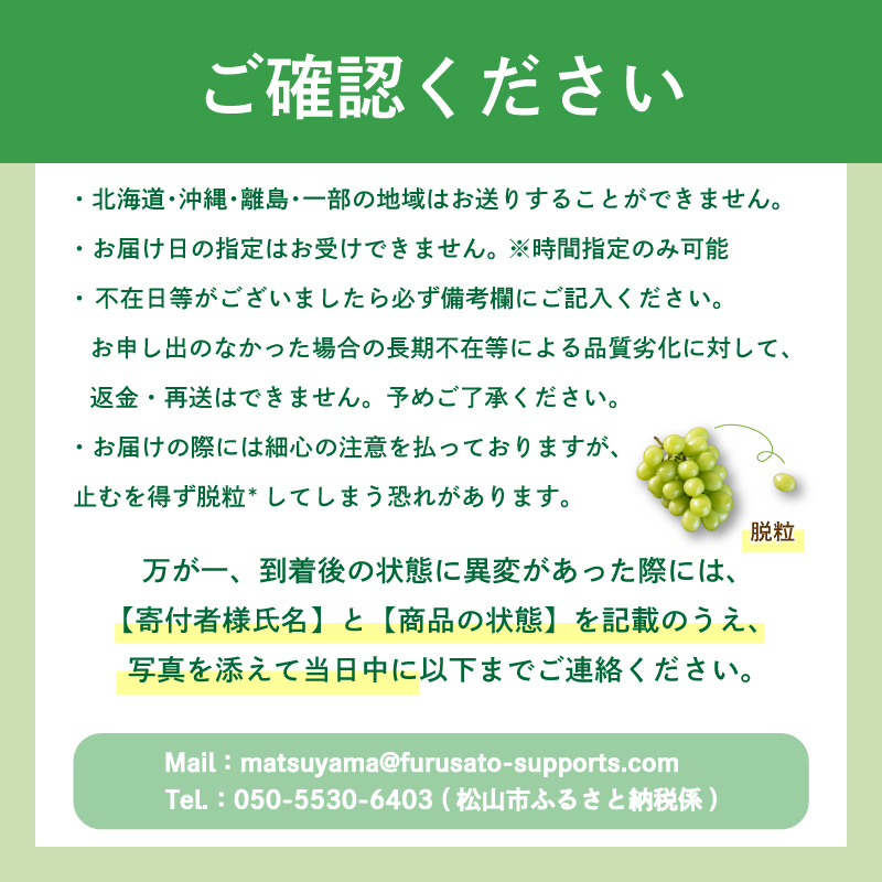 【8月下旬頃から発送】シャインマスカット ＋ クイーンニーナ 各1房 ( 計 2房/ 約 1.1kg ) < 贈答用 > | ぶどう シャインマスカット クイーンニーナ 贈答 皮ごと 種なし 大粒 数