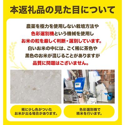 ふるさと納税 当別町 【令和7年産新米先行受付】精米ゆめぴりか3kg |  | 02