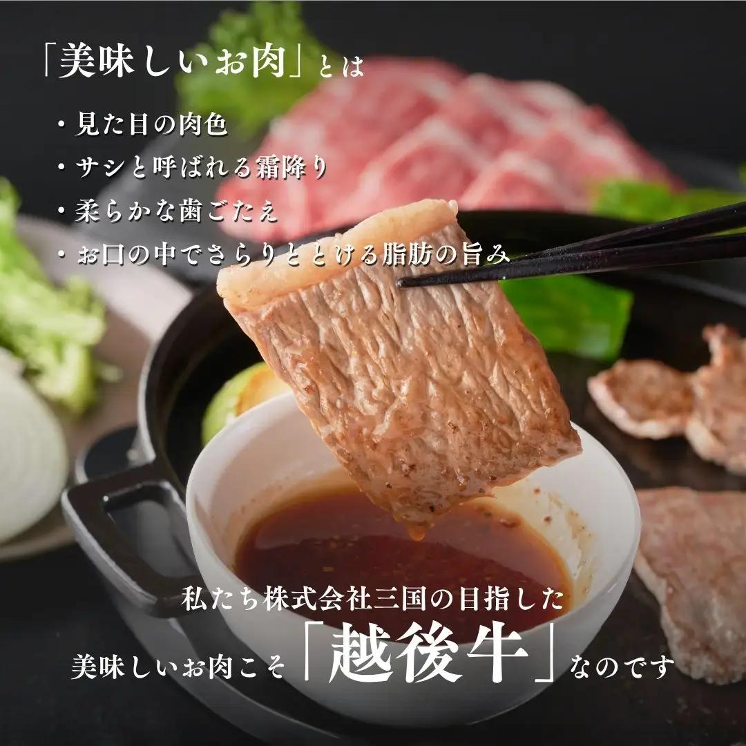 越後牛 ロース焼肉 計400g(200グラム×2) 冷凍 三国 | 越後牛 小千谷 新潟県産 ロース 焼肉