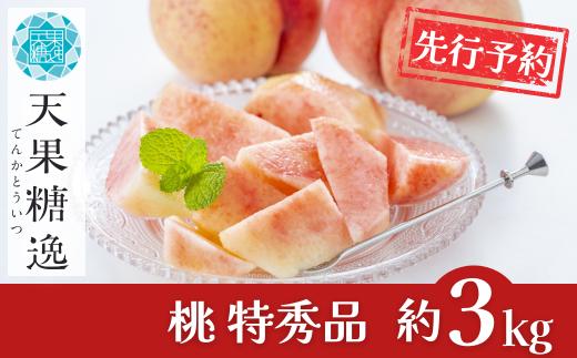 先行予約 桃 特秀品 約3kg 糖度13度以上を厳選 桃 2026年産 令和8年度 モモ 新潟県産桃 天果糖逸 桃 もも [JAえちご中越]【014S057】