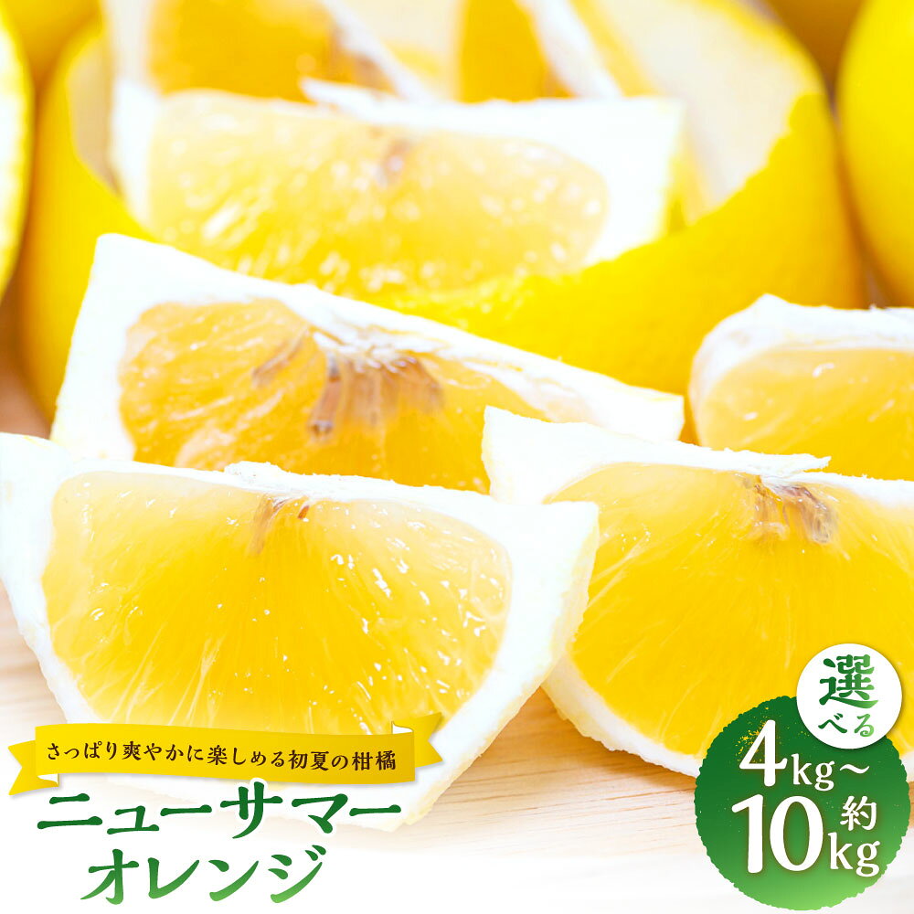 【ふるさと納税】ニューサマーオレンジ M～3L混合 ＜選べる内容量＞【さっぱり爽やかに楽しめる初夏の柑橘】 約4kg / 約5kg / 約10kg オレンジ 柑橘 かんきつ フルーツ くだもの 愛媛県産 国産 愛媛県 送料無料 【2027年4月上旬～5月下旬発送予定】(1066)(1067)(1068)
