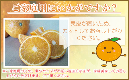 ＜愛媛県西予市産 スイートスプリング 家庭用 約8kg＞ 訳あり ワケアリ 果物 くだもの ミカン 蜜柑 柑橘 甘い おいしい フルーツ サイズ不揃い ご自宅用 果実 果肉 特産品 段畑みかん 愛媛県