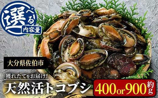 
                  ＜内容量が選べる＞天然 トコブシ (約400g・約900g) 鮮魚 魚介 貝 トコブシ とこぶし 酒蒸し 網焼き バター焼き バーベキュー 獲れたて 冷蔵 海の直売所 大分県 佐伯市 魚貝 殻付【AS107・AS82】【海べ】
                