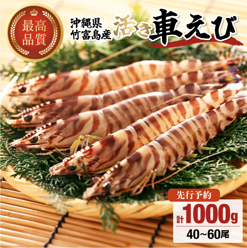 先行予約 竹富島産 活車えび 1kg:40-60尾