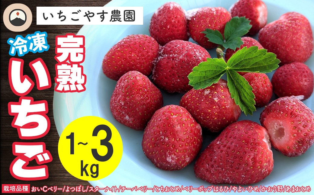 
                  冷凍 完熟いちご 1kg 2kg 3kg 選べる いちごやす農園　いちご ストロベリー 果物 フルーツ 小分け 完熟 旬 おいCベリー よつぼし スターナイト チーバベリー とちおとめ ベリーポップはるひ やよいひめ かおり野 あまおとめ 冷凍 クール便 フローズン ジャム スムージー アイス ヨーグルト いちごやす農園 期間限定 数量限定 季節限定 おすすめ 房総 千葉県 富津市
                