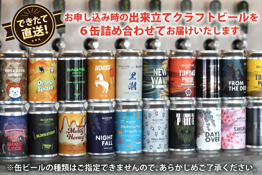 【CF02】【できたて直送！】 BTB クラフトビール 6缶 セット [BLACK TIDE BREWING 宮城県 気仙沼市 20565980_CF02] 酒 ビール びーる 飲み比べ クラフト お酒 地ビール