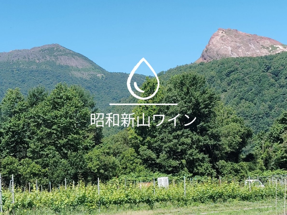 昭和新山ワイン　YAMANOBE BLANC 2023(ヤマノベブラン）白ワイン 辛口 壮瞥町産ぶどう100%  SBTQ012