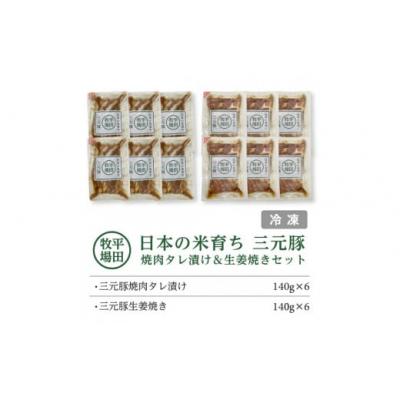 ふるさと納税 酒田市 【平田牧場】日本の米育ち◆三元豚 焼肉タレ漬け&生姜焼き2種セット計12パック(各140g×6) |  | 01