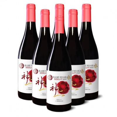ふるさと納税 上ノ国町 北海道 上ノ国ワイナリーの赤ワイン「上の赤メルロー2023」　750ml×6本
