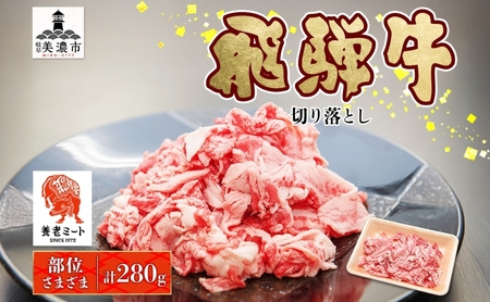 飛騨牛 切り落とし 薄切り 和牛 飛騨牛【280g×1P】【冷凍】