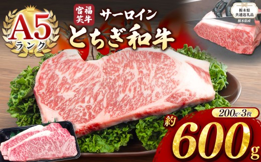 【栃木県共通返礼品】宮福笑牛(とちぎ和牛) A5 サーロインステーキ　約200gx3枚  | 黒毛 和牛 牛肉 焼肉 とろける 霜降り 赤身 切り落とし ふるさと 納税 イチオシ おすすめ 栃木県 下野市 しもつけ市