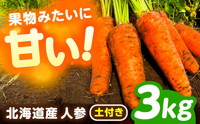北海道 にんじん 3kg（土付き）《足寄町》【餌取農場】 北海道産 甘い 人参 野菜 根菜 ニンジン 3kg 道産 キャロット 糖度高め サラダ ジュース 生鮮野北海道産 菜 あしょろ 足寄 [BEBA002]