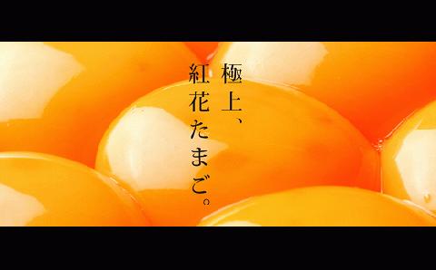 【6ヶ月定期便】 紅花たまご60個セット 10個×6パック/月 [026-009]