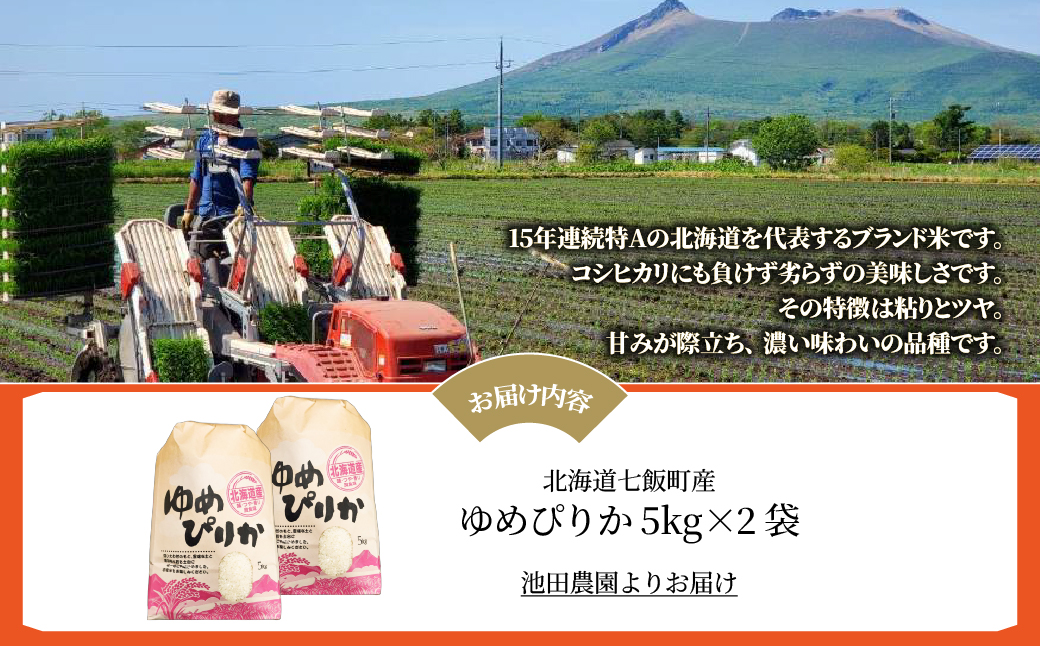 【先行予約 令和8年10月下旬発送】ゆめぴりか 10kg (5㎏×2袋) NABR002 【北海道産】ゆめぴりか 10kg (5㎏×2袋)