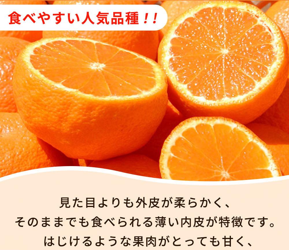 紀州有田産不知火(しらぬひ) 2.5kg【UT61】AN91130_イメージ4