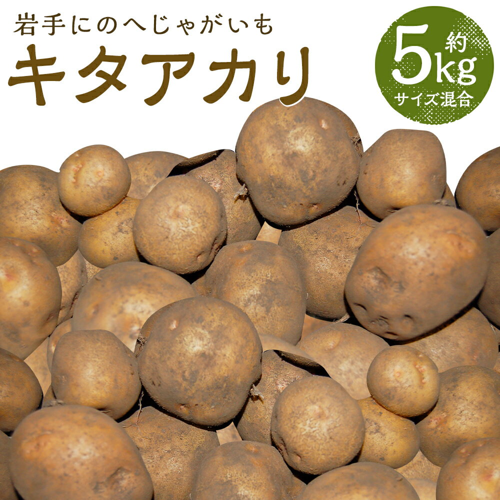 【ふるさと納税】厳選品 岩手にのへじゃがいも「伝」 キタアカリ 約5kg サイズ混合 じゃがいも 芋 じゃが芋 野菜 二戸市産 岩手県産 国産 送料無料【2025年9月中旬～2026年2月下旬に順次発送予定】