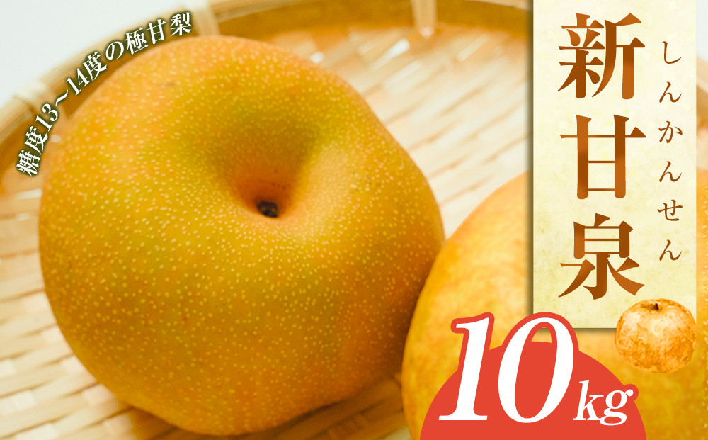 288.新甘泉（しんかんせん）１０ｋｇ（ＪＡ）　※2026年8月中旬～9月上旬頃に順次発送予定 313726_AT002