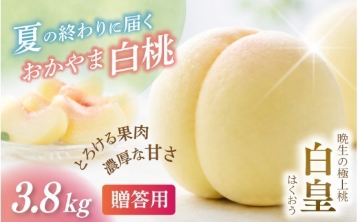 
                  【2026年先行予約】 岡山県産 白皇 3.8kg 化粧箱入り・贈答用 高級 白桃 はくおう 花田青果【8月中旬～9月初旬まで順次発送予定】/ 桃 もも モモ 果物フルーツ 贈答品 贈り物 岡山県【hnds006】
                
