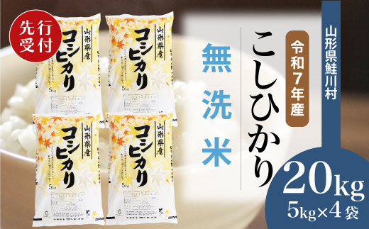 ＜令和7年産米先行受付＞ 令和8年9月上旬発送　こしひかり 【無洗米】 20kg （5kg×4袋） 鮭川村
