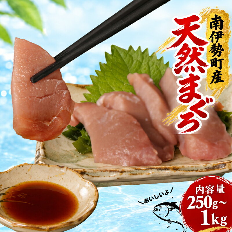 【ふるさと納税】 【国産】 天然マグロ 柵 選べる内容量 250g~1kg / 天然マグロ まぐろ 鮪 お刺身 刺身 海鮮 魚 魚介 250g 小分け 真空パック 冷凍 海鮮丼 お寿司 ネギトロ ちらし寿司 漬け丼 三重県 南伊勢町 伊勢 志摩 城水産 2人前 4人前 8人前