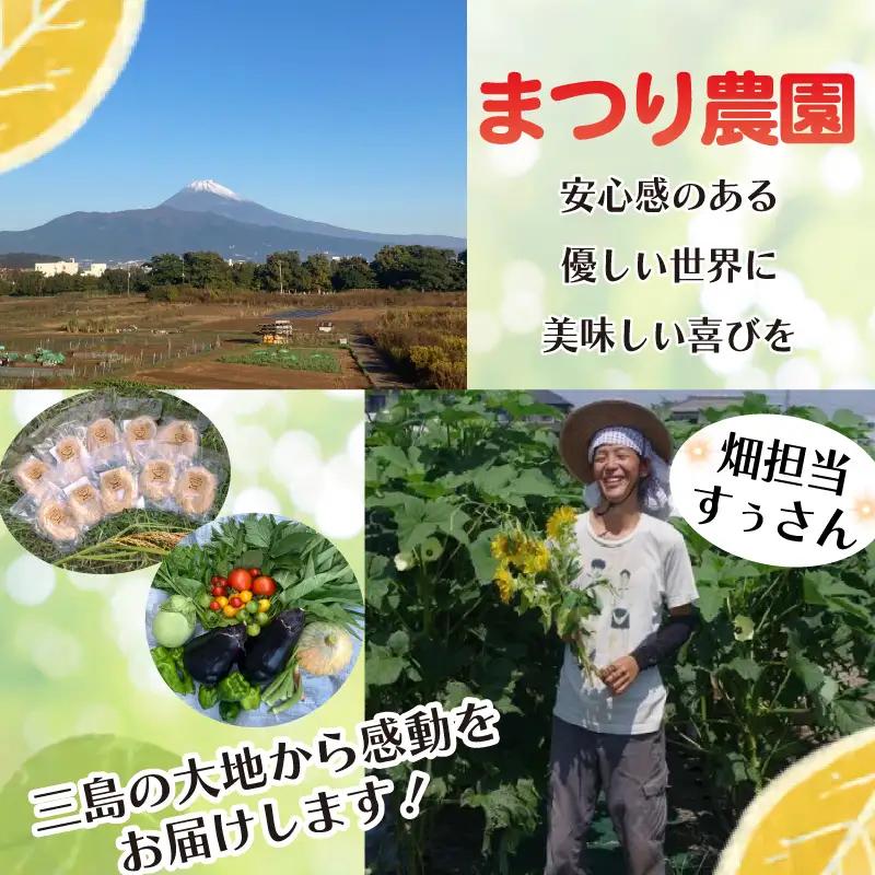 玄米麺 【太麺】 5個 グルテンフリー 玄米 