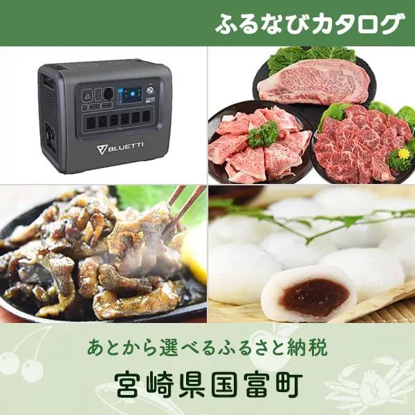 【有効期限なし！後からゆっくり特産品を選べる】宮崎県国富町カタログポイント