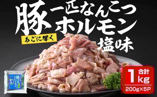 豚一匹なんこつホルモン 塩味 1kg(200g×5パック) 約5～7人分 国産 豚肉 肉 お肉 軟骨 ナンコツ 味付き ホルモン おつまみ 冷凍 小分け おまかせ お楽しみ 【株式会社佐利】tm373