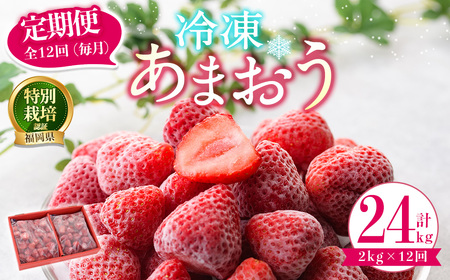 ＜全12回定期便(毎月)＞冷凍あまおう（計24kg:2kg×12回) いちご イチゴ 苺 あまおう 冷凍いちご 冷凍イチゴ 国産 福岡県 特別栽培 果物 フルーツ アイス ジャム 冷凍フルーツ ＜離島配送不可＞【ksg1788】【うるう農園】