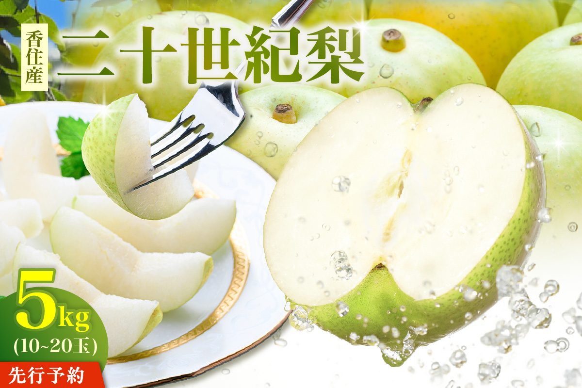 《2027年産 先行予約》 二十世紀梨 約5kg（1玉250～500g/10～20玉）【令和9年8月下旬以降発送予定】 国産 梨 20世紀梨 香住梨 香住産 シャキシャキ 甘い みずみずしい フルーツ 果物 贈答品 ギフト プレゼント なし ナシ 和梨 青梨 大人気 おすすめ ランキング 兵庫県 香美町 香住 JAたじま 12-25