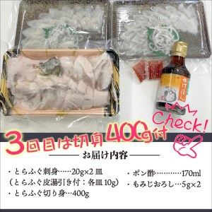 【F8-002】【全3回定期便】活〆おうごんとらふぐ刺身2人前セット　3回目鍋用切身400g付（ふぐ フグ とらふぐ トラフグ ふぐ刺し フグ刺し ふぐ鍋 フグ鍋 養殖ふぐ 養殖フグ 養殖とらふぐ 養