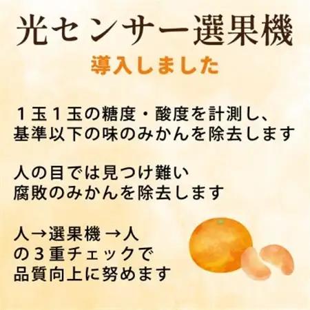 家庭用 有田みかん5kg+250g(傷み補償分)【光センサー選果】【訳あり】【配送不可地域：離島・北海道・沖縄県】【1313205】