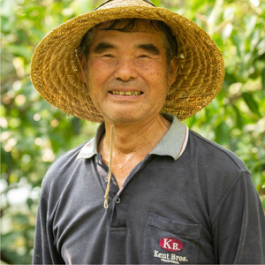 レモン【先行受付】【2025年12月以降発送】【栽培期間中農薬・除草剤不使用】離島 佐木島！レモン 約1.5kg   広島 三原 佐木島 鷺島みかんじま 017007