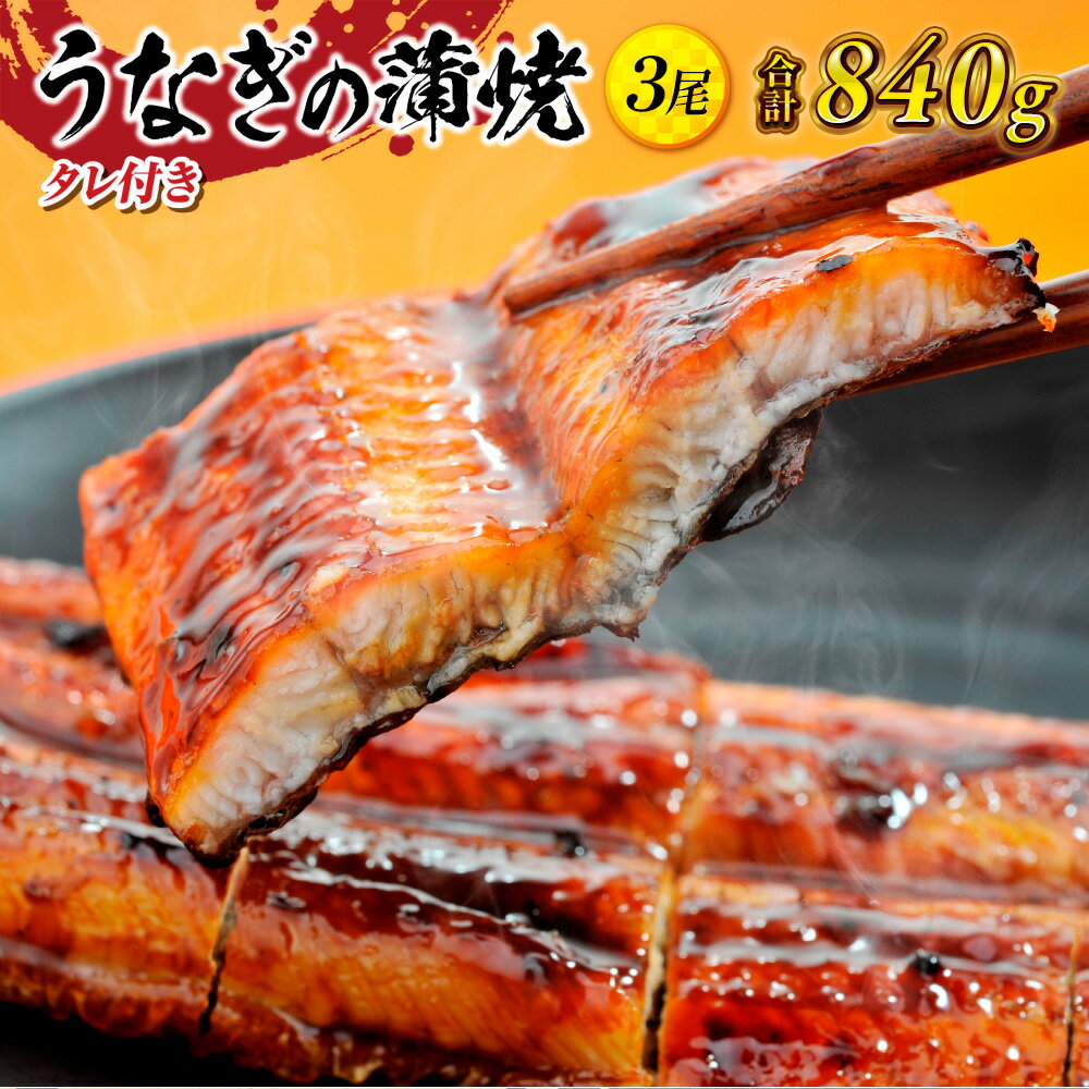 【ふるさと納税】うなぎ 蒲焼 3尾 約8人前 約840g タレ2本付 タレ ウナギ 鰻 うなぎ 蒲焼き かばやき かば焼き 冷凍 真空パック 丑の日 ひつまぶし うな重 うな丼 お茶漬け 食品 加工食品 魚介 水産加工品 国内製造 取り寄せ お取り寄せグルメ グルメ 送料無料 YZ002