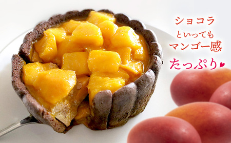 贅沢マンゴーショコラケーキ【4号サイズ】 おきぽた ケーキ マンゴー スイーツ 専門店 チョコ フルーツデザート トロピカルスイーツ 沖縄 お土産 人気 おすすめ パーティー バースデー Xmasケー